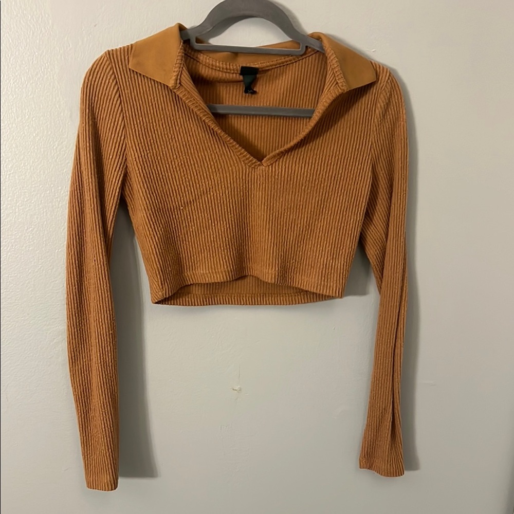 Ribbed Tan Long Sleeve Crop Top
